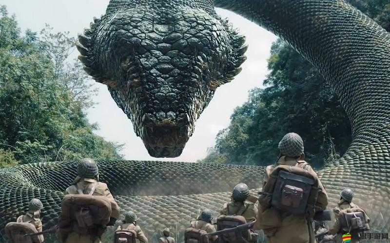 神秘電影 vip5 條通道在哪:探尋其背后的隱藏入口之謎